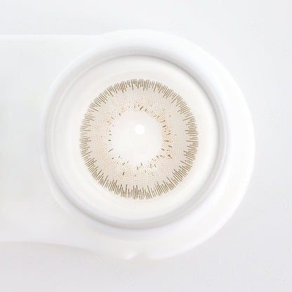 Bellalens Gray Beige Colored Contacts - Image 3 | カラーコンタクト | FreshGo